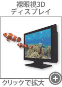 らがんディスプレイ