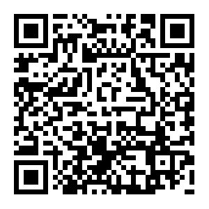 5Mグローバル桜通り4車線動画左