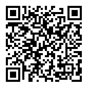 5Mグローバル桜通り4車線動画右