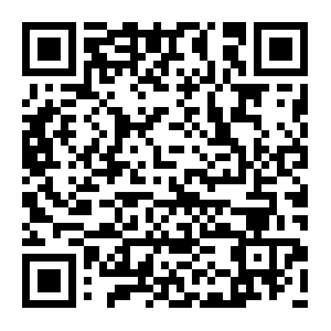 マニフクデモ動画