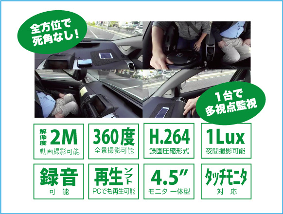 実際の画像