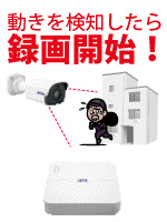 動体検知