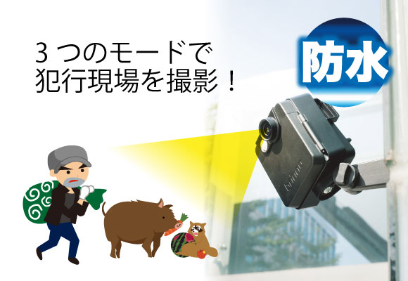 屋外設置イメージ