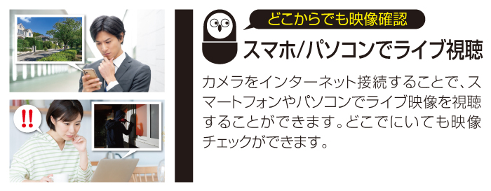 スマホ/パソコンでライブ視聴