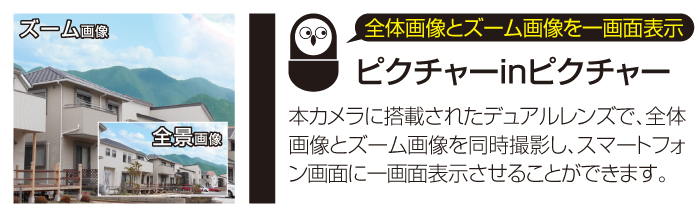 ピクチャーインピクチャー