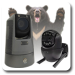 AI 熊さんカメラ